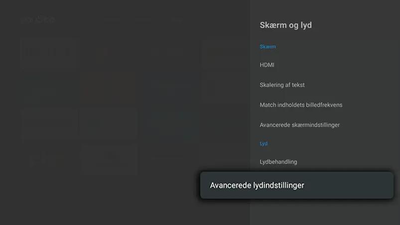 Mørk indstillingsmenu under Skærm og lyd, hvor Avancerede lydindstillinger er fremhævet nederst i højre side.