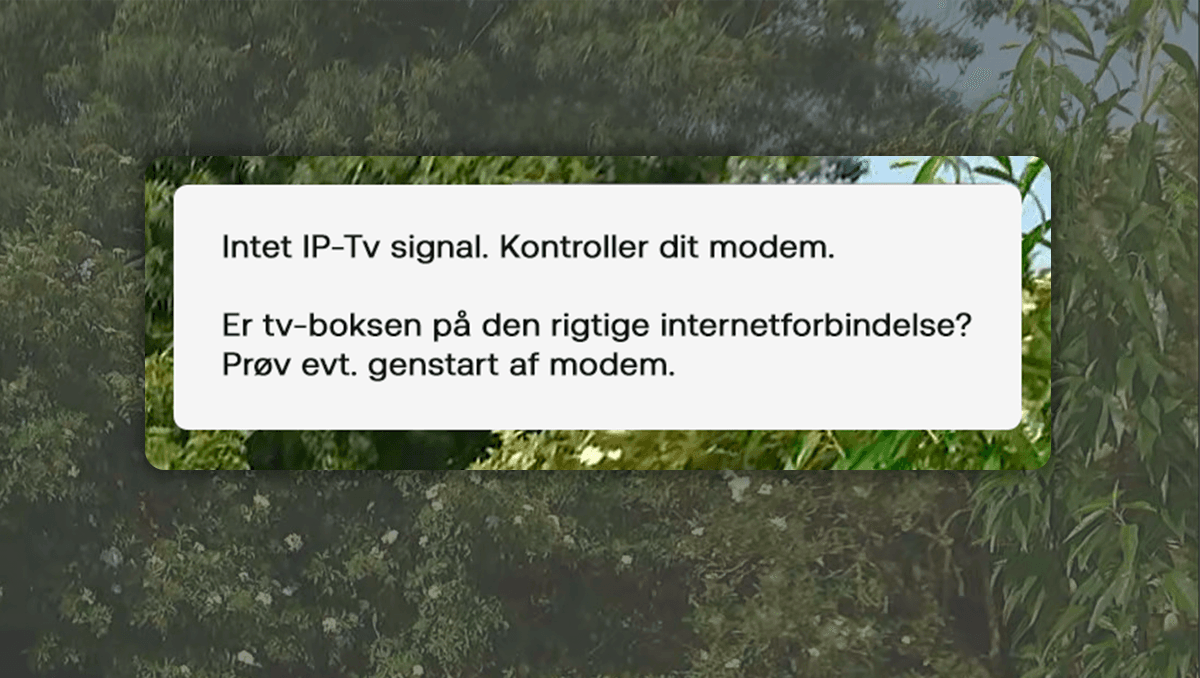 Fejlbesked med teksten: "Intet IP-Tv signal. Kontroller dit modem. Er tv-boksen på den rigtige internetforbindelse? Prøv evt. genstart af modem".